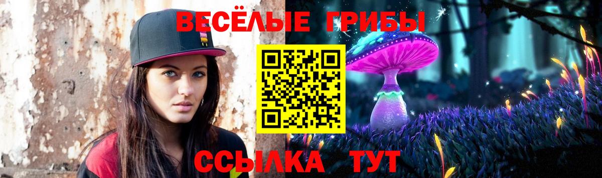 Кудымкар  Псилоцибиновые грибы прущие грибы  Вход с VPN 